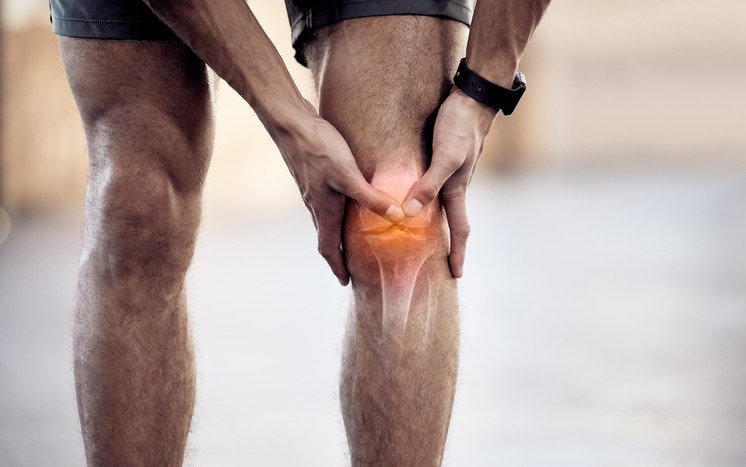 Long-Term Outcomes and Quality of Life After Knee Replacement